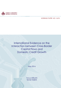 International Evidence on the Interaction between Cross-Border Capital Flows and Domestic Credit Growth