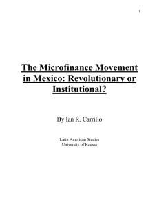The Microfinance Movement in Mexico: Revolutionary or Institutional?