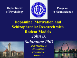 John Salamone: Dopamine, Motivation and Schizophrenia