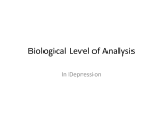 Bio etiology depression