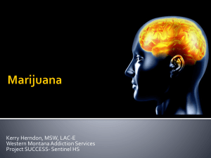 Marijuana Presentation 2014