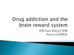 Drug addiction and the brain reward system