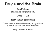 PowerPoint () slides - Drugs and the Brain