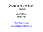 Drugs and the Brain teaser (PPT)