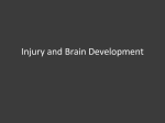 Injury and brain development