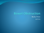 Bowel Obstruction - Yorkshire and the Humber Deanery