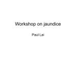 Workshop on jaundice..