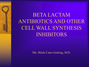 beta lactam antibiotics and other cell wall synthesis