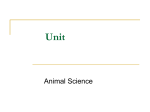 Growth Hormones in Animals