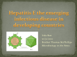 Hepatitis E vaccine, `Hecolin`