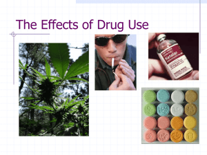 The Effects of Drug Use - Father Michael McGivney Catholic