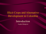 Illicit Crops and Alternative Development in Colombia