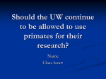Should the UW continue research using primates?