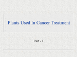 Plants Used In Cancer Treatment