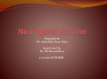 Neurogenic Bladder - Saudi Urology Group