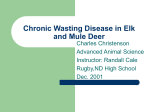 Chronic Wasting Disease in Elk and Mule Deer
