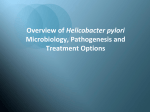 Helicobacter pylori Overview, Microbiology, and Resistance