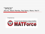SPICE” aka K2, Black Mamba, Pep Spice, Blaze, Red X