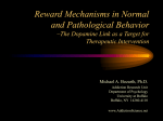 Reward Mechanisms