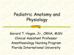 Pediatric Anatomy and Physiology