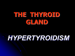 THE THYROID GLAND