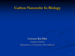 Carbon Nanotube In Biology