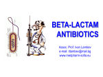 Beta-lactams_E
