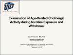 Examination of Cholinergic Activity during Nicotine