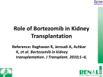 Role of Bortezomib in Kidney Transplantation