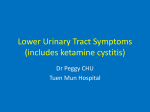 Lower Urinary Tract Symptoms (includes ketamine cystitis)