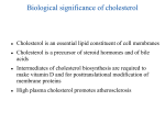 11-Cholesterol - WatCut