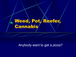 Weed, Pot, Reefer, Cannabis