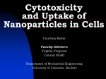 Cytotoxicity and Uptake of Nanoparticles in Cells