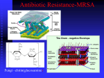 Antibiotic Resistance - Bergen County Technical Schools