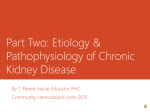 Part Two: Etiology & Pathophysiology of Chronic Kidney Disease