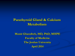 Parathyroid Gland & Calcium Metabolism