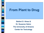 From Plant to Drug - University of Arizona