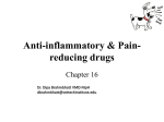 Anti-inflammatory & Pain