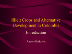 Illicit Crops and Alternative Development in Colombia