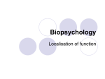 Biopsychology - Stmaryspsyweb's Weblog