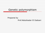 عرض تقديمي من PowerPoint