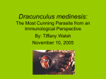 Dracunculus medinesis: The Most Cunning Parasite from an