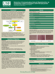 USF Research Day Poster (Jeff Burgess)