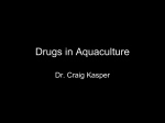 Drugs and Treatments (1)