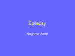 How common is epilepsy