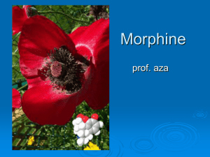 Morphine - Fakultas Farmasi Unand