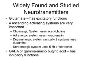 Widely Found and Studied Neurotransmitters