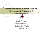 The Pharmacological Constituents of Mescaline