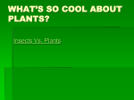 Very Powerful Plants
