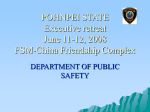 department of public safety